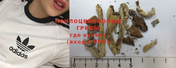 прущие грибы Балабаново