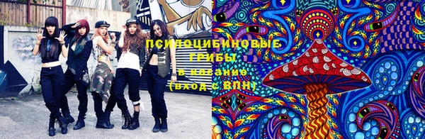 а пвп мука Армянск