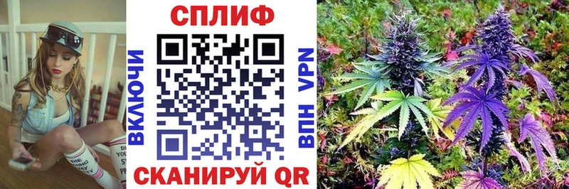наркошоп  Таруса  Шишки марихуана планчик 